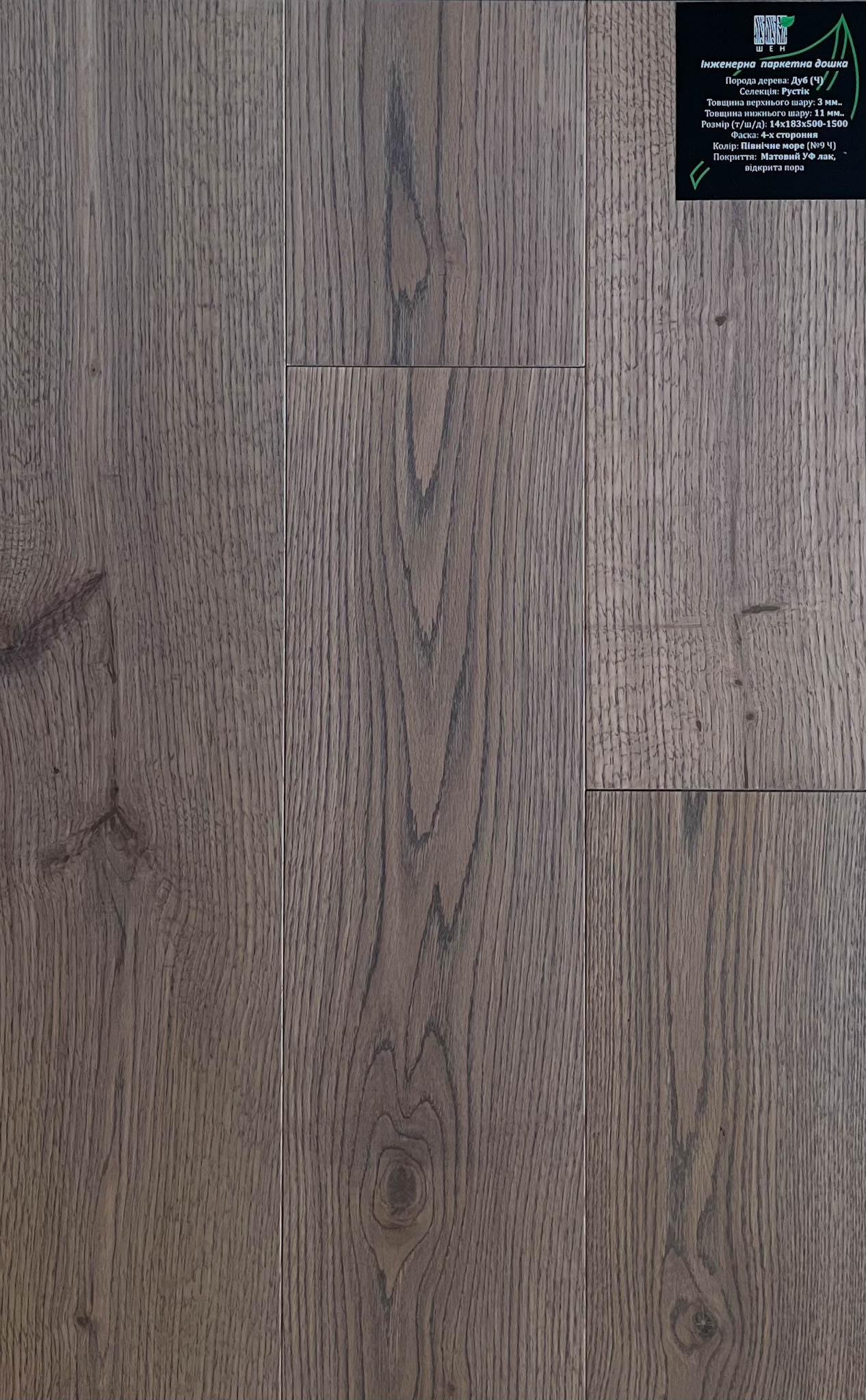 Купить Дуб Північне море (Ч)